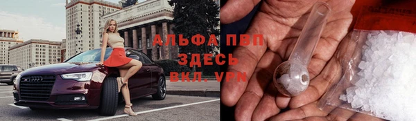 сатива Богородицк