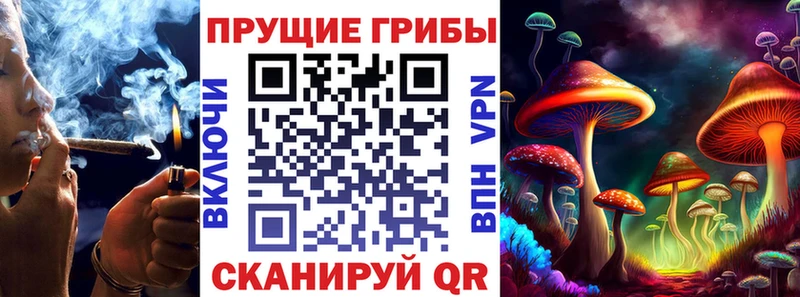 Псилоцибиновые грибы Psilocybine cubensis Балашов