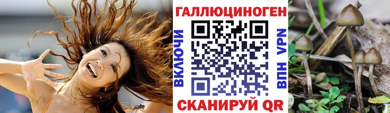 Галлюциногенные грибы мицелий  Балашов 