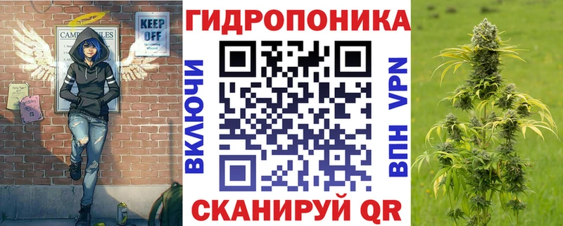 Канабис сатива  Балашов 